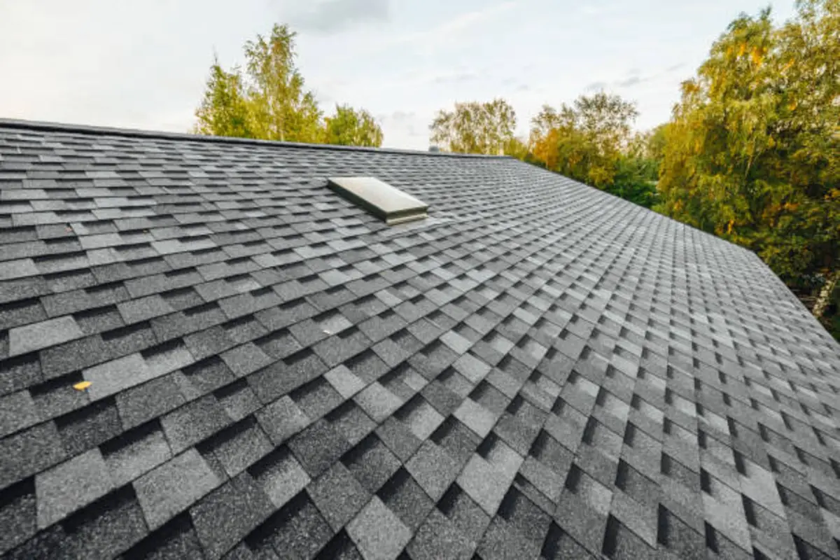 shingled roof